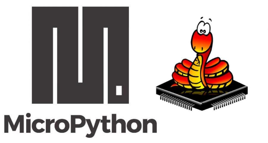MicroPython snake chip